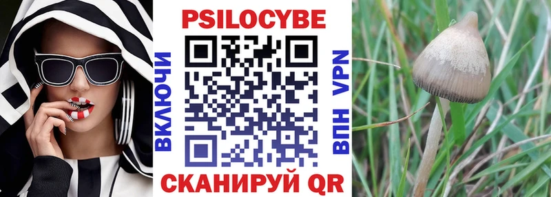 Псилоцибиновые грибы мухоморы  магазин продажи наркотиков  Светлоград 